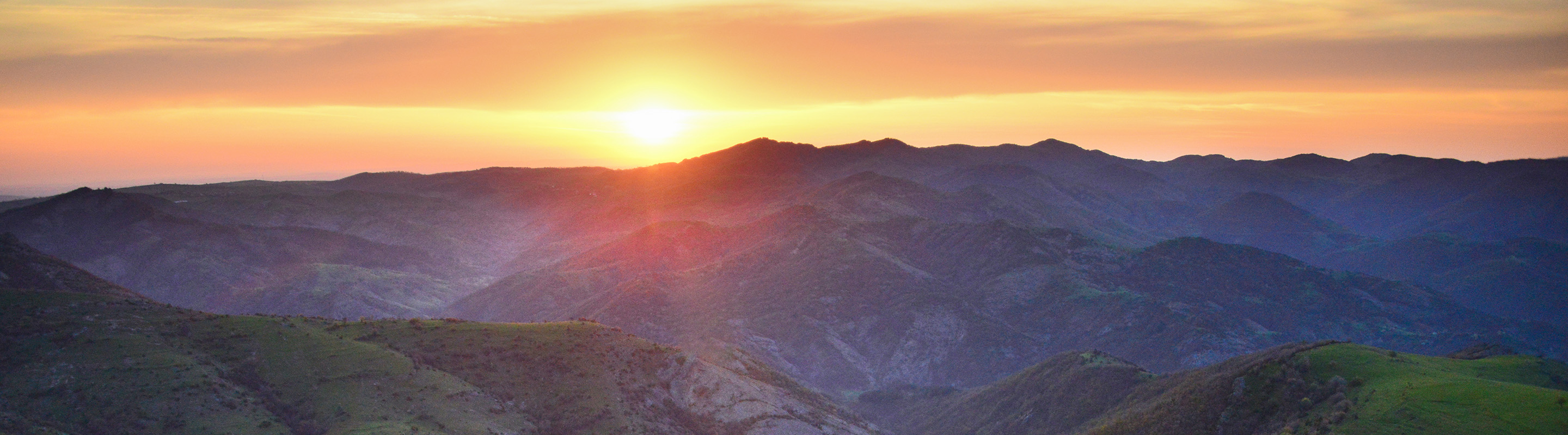 Тарифен план Флекс Active 